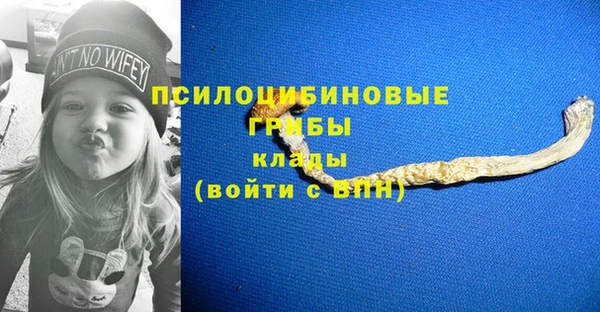 бутират Белокуриха