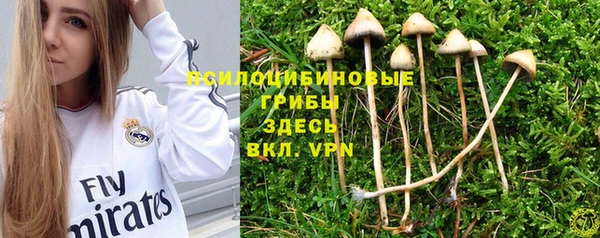 ГАЛЛЮЦИНОГЕННЫЕ ГРИБЫ Алексеевка