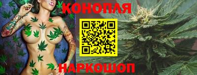 PSILOCYBIN Пугачёв