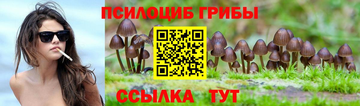 Тосно  Галлюциногенные грибы GOLDEN TEACHER  купить наркоту  Вход с VPN  Псилоцибиновые грибы прущие грибы 